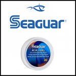 Seaguar Angelschnre