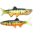 Baitrix Trout System, Farbe 04